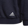 Future Icons 3-Stripes Hooded sweater