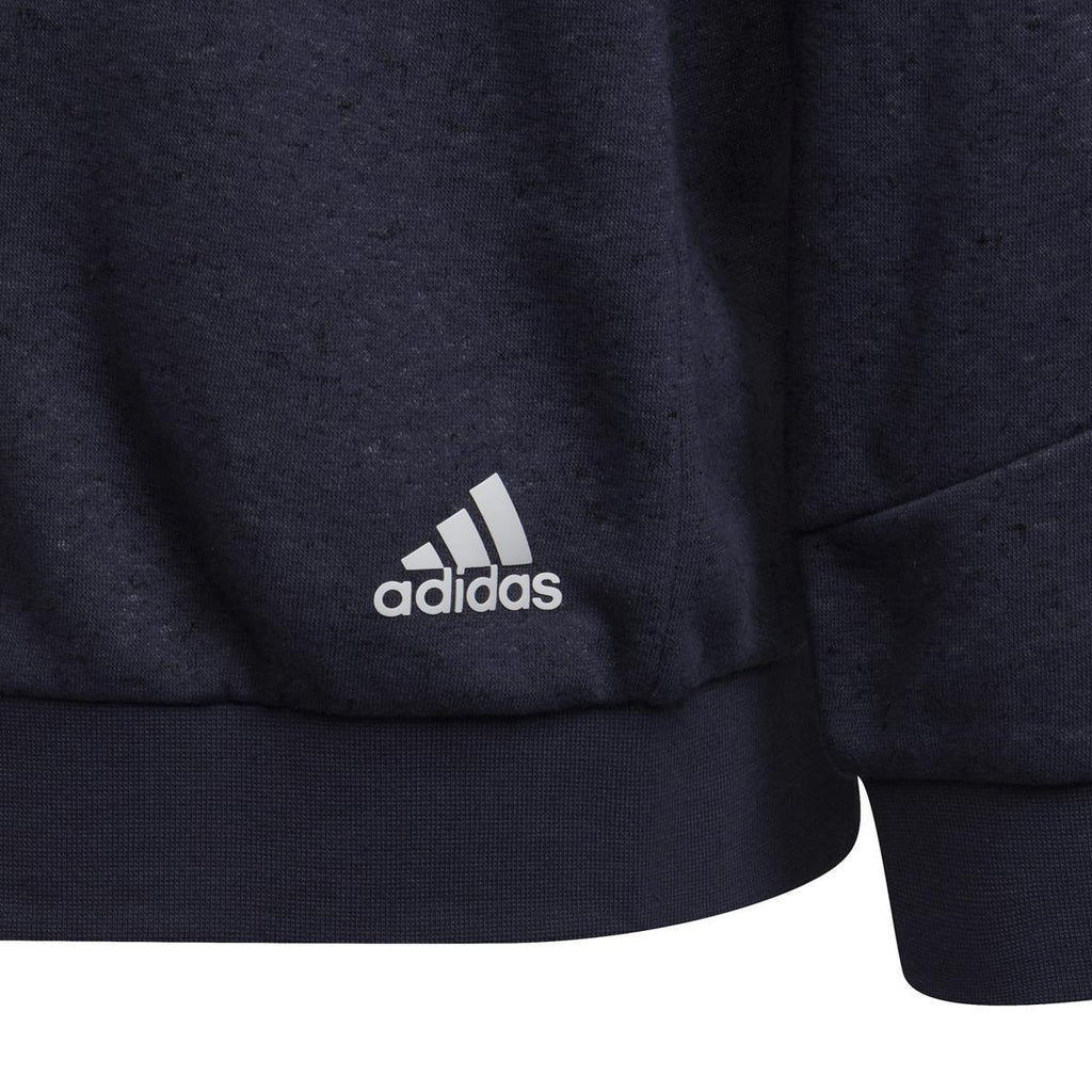Future Icons 3-Stripes Hooded sweater