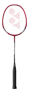 Nanoray Dynamic Rx