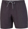 dave beachshort