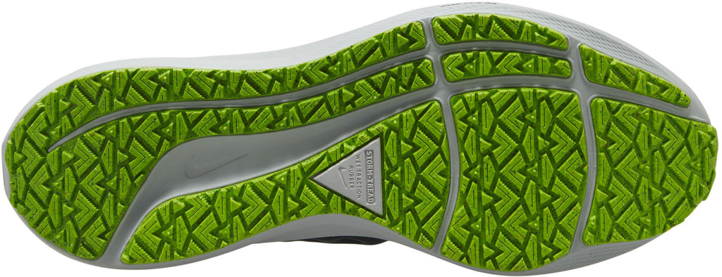 Air Zoom Pegasus 39 Shield hardloopschoenen