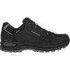 Renegade Evo GTX Low wandelschoenen