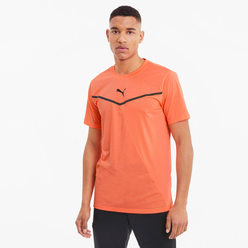 train thermo r+ bnd ss tee