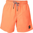 Hestey Boys Swim Shorts