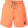 Hestey Boys Swim Shorts
