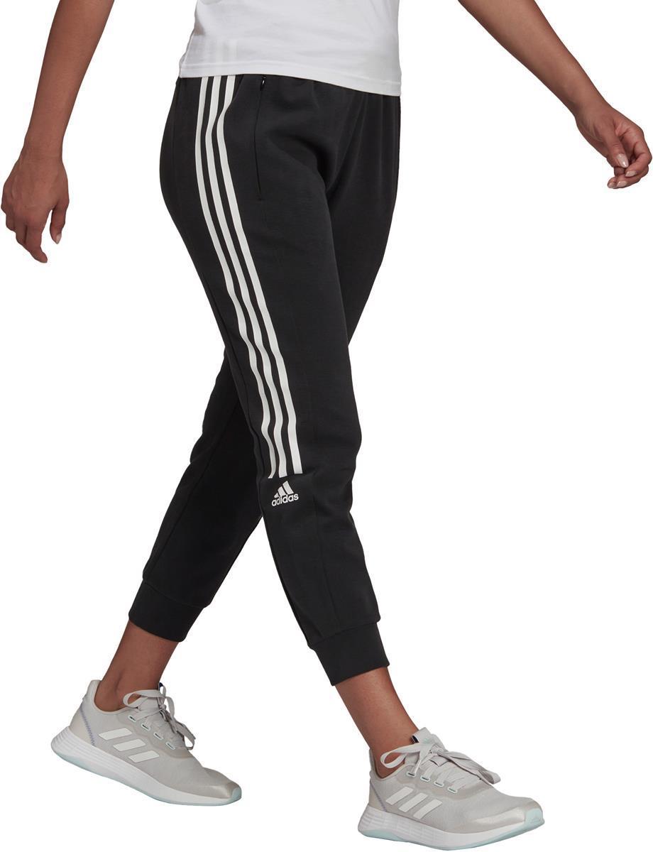TC PT. Pant