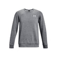 Icon Fleece Crew sweater