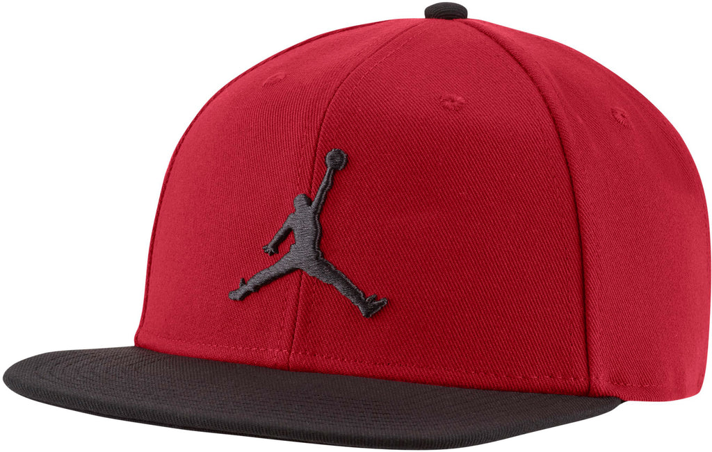 Jordan Pro Jumpman pet