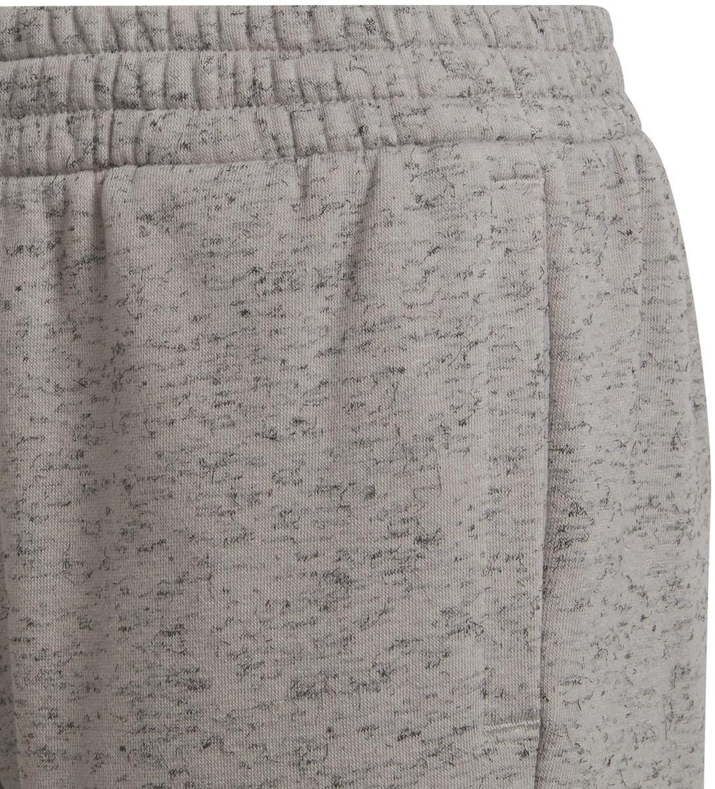Future Icons 3-Stripes short