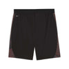 Individualfinal Shorts voetbal