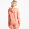 Amplified Hoodie