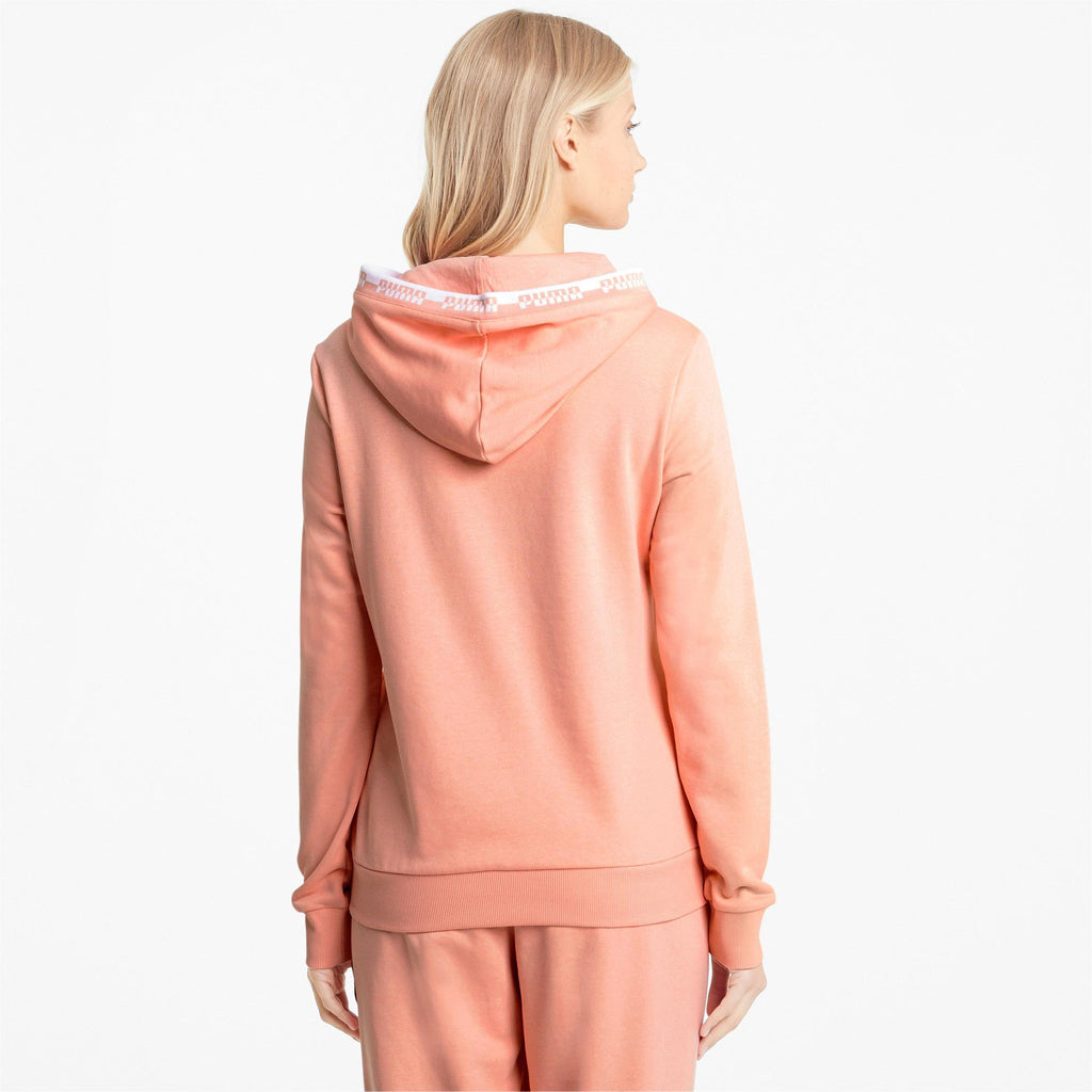 Amplified Hoodie