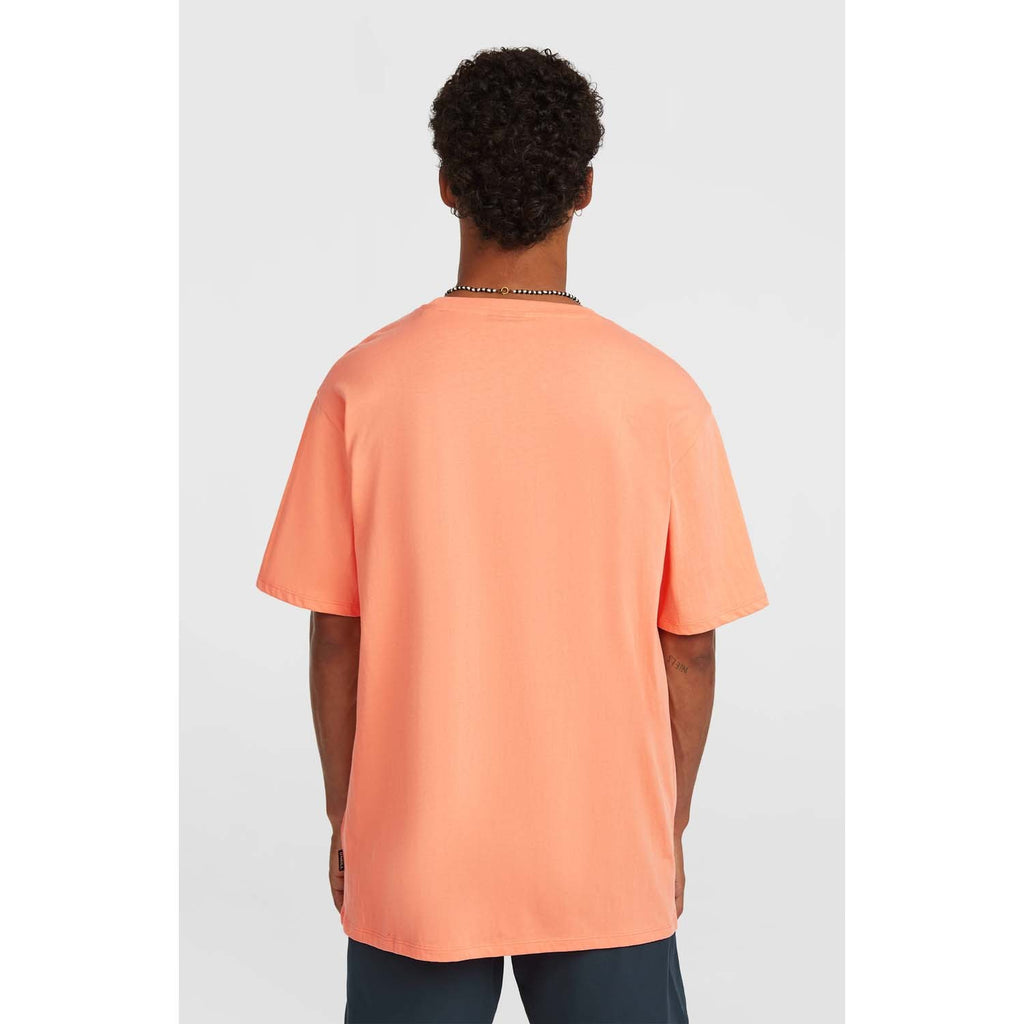 Small Logo T-shirt strand
