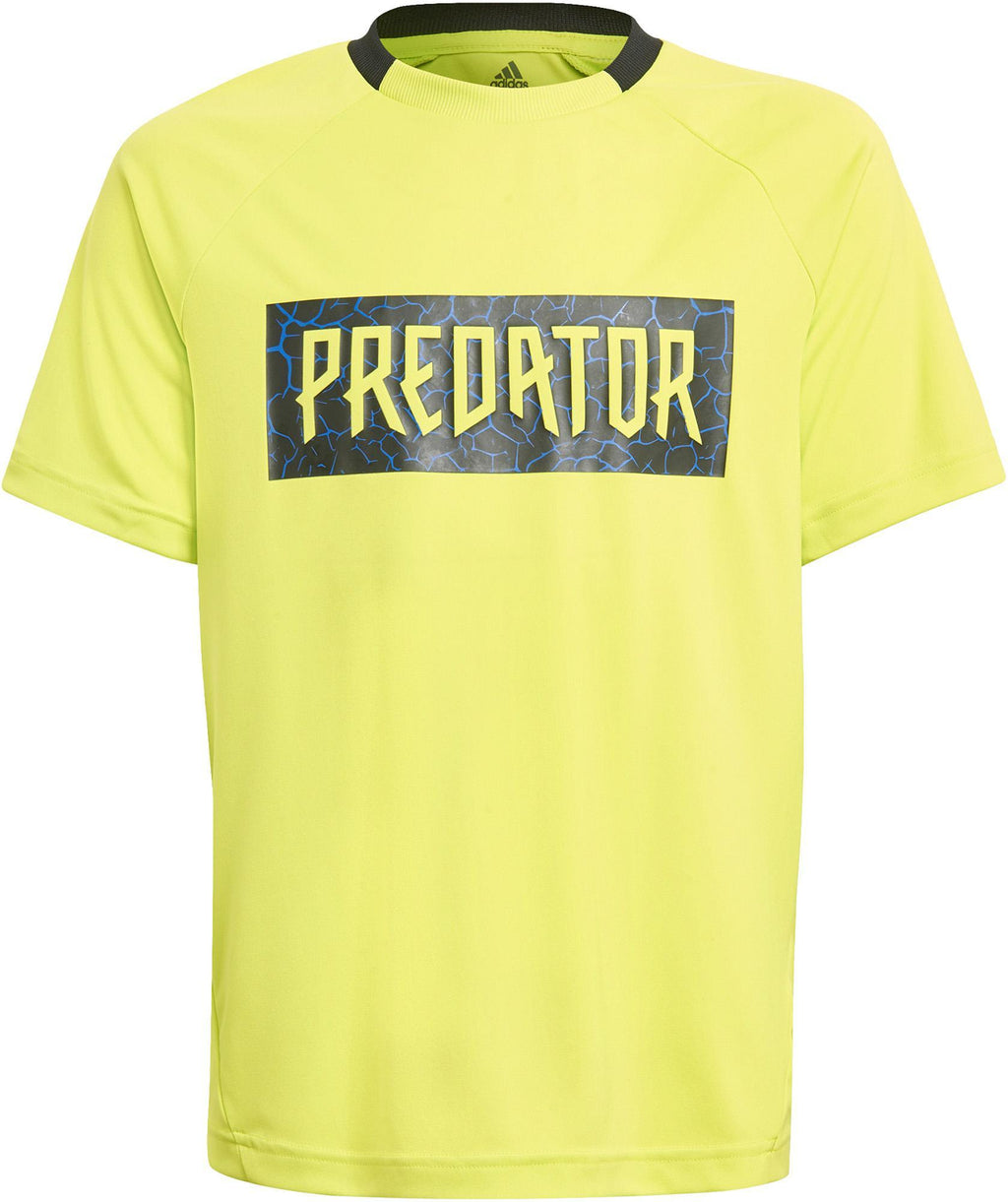 B A.r. Pred Set