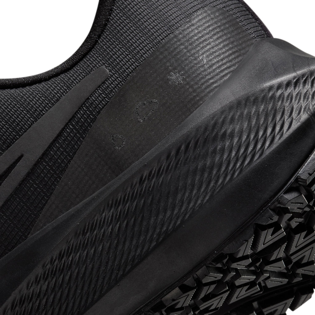 Air Zoom Pegasus 39 Shield hardloopschoenen