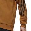 Future Icons 3-Stripes ritshoodie