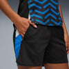 individualblaze shorts