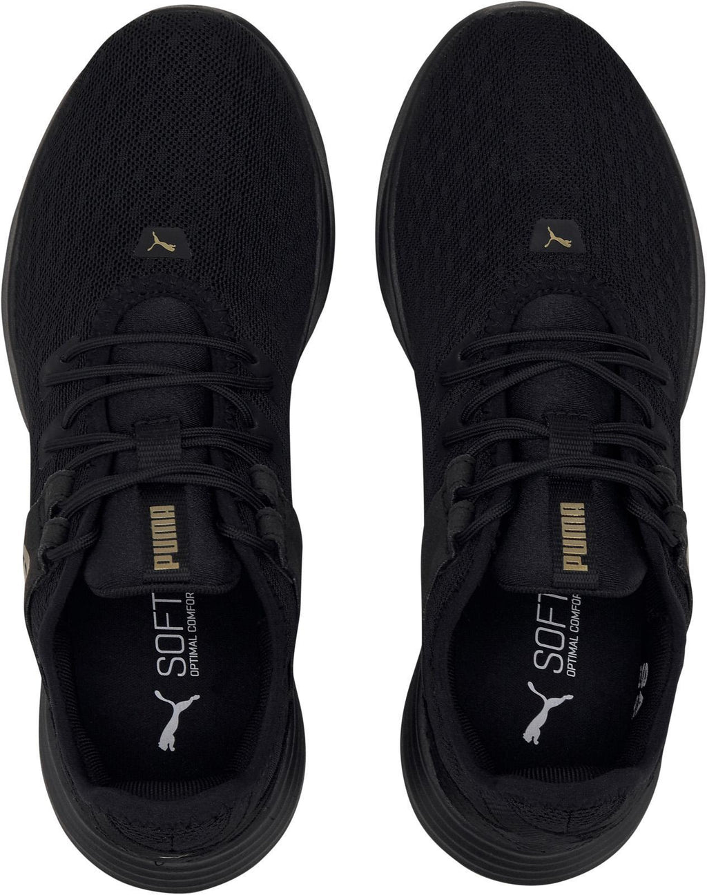 radiate xt pattern wn  s