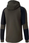 evostripe hoodie