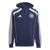 Ajax Amsterdam UBP Doubleknit Hoodie
