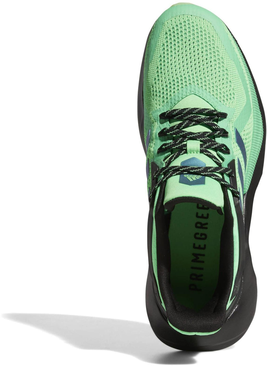 Alphatorsion 2.0 fitness schoenen