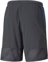 individualCUP Shorts