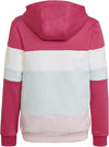 Colorblock Fleece kids hoodie