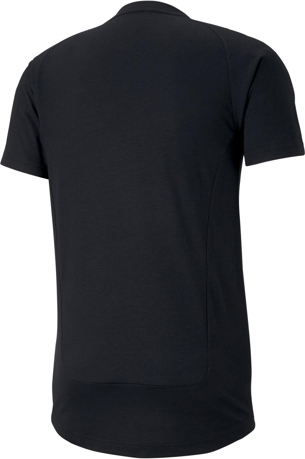 evostripe tee