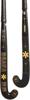 Vision 55