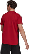 Arsenal Tiro polo 21/22