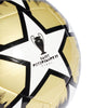UCL Club St. Petersburg voetbal