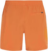 Originals Cali Ocean 16 Swimshorts
