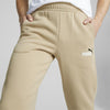 Ess+ 2 Col Logo Pants