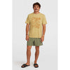 Originals Stripe 15 Zwemshort