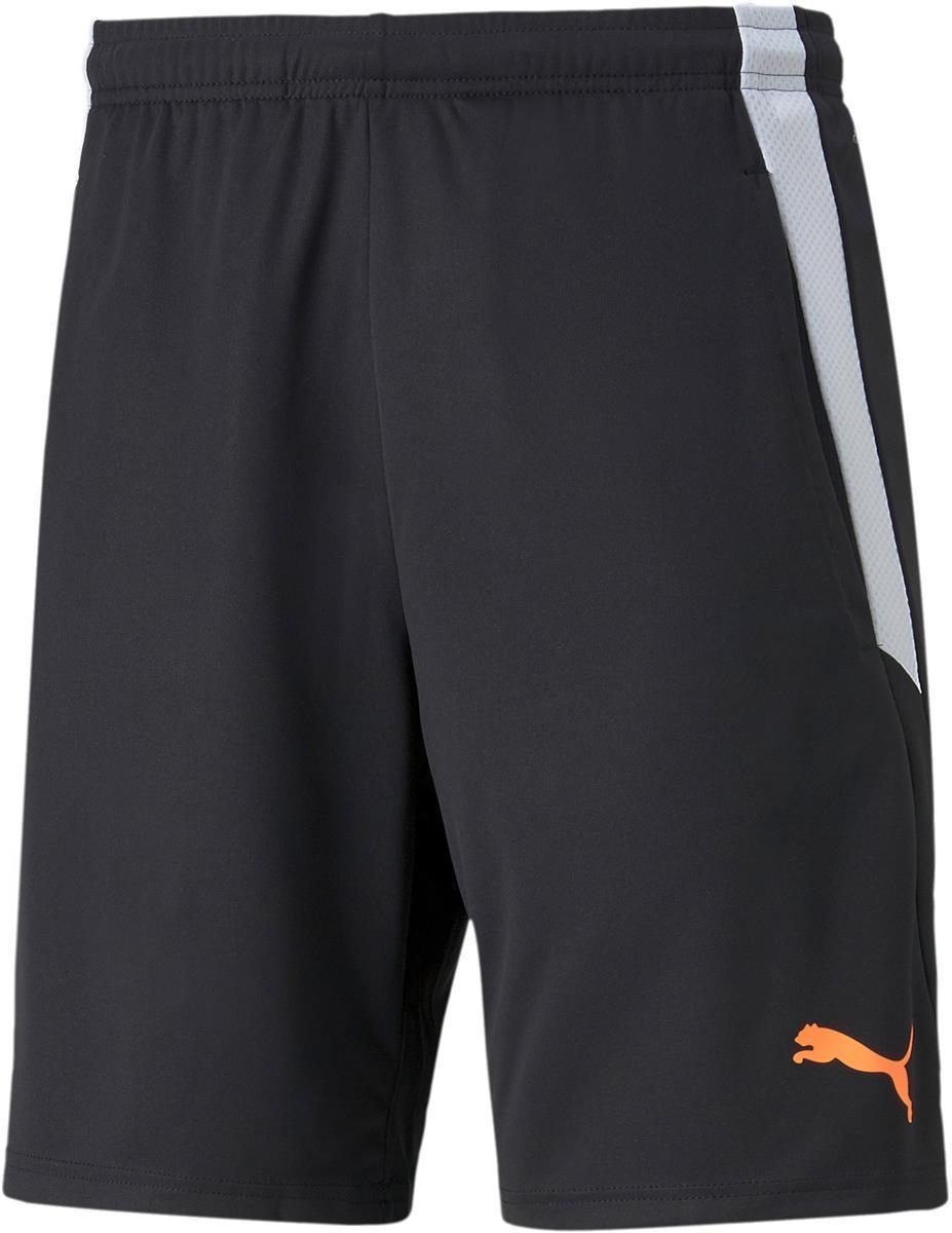 TEAMLIGA TRAINING SHORTS 2 (OP, PUMA BLACK-OCEA, XL