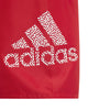 Logo CLX zwemshort