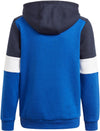 Essentials Colorblock Hoodie (Uniseks)