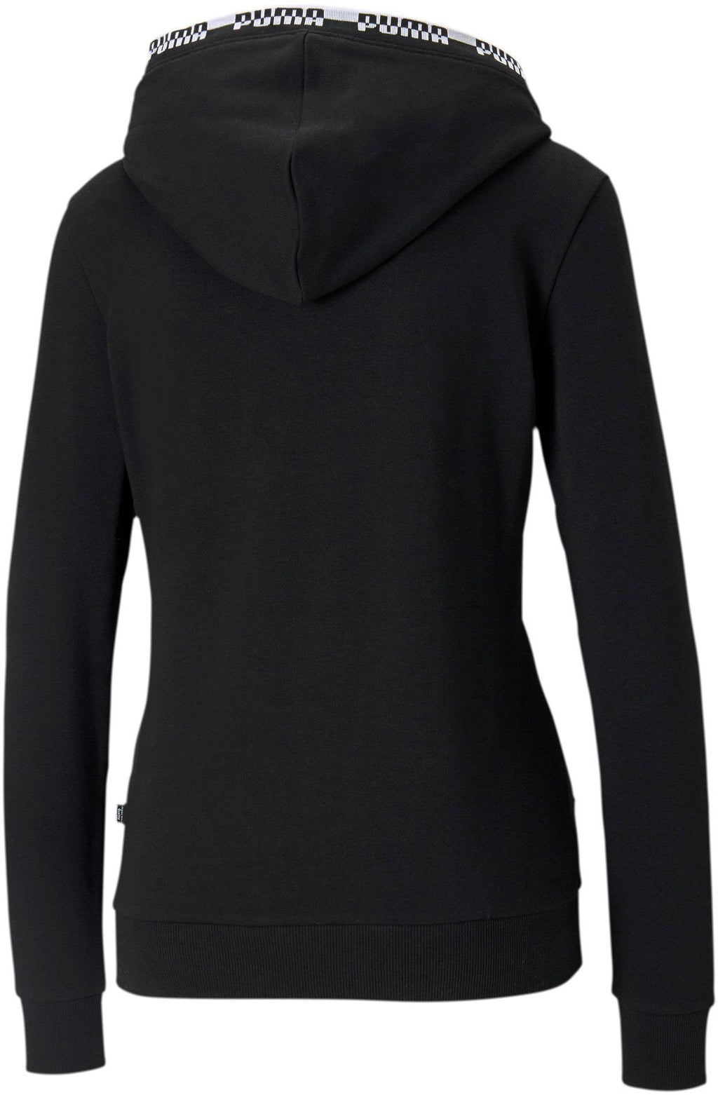 Amplified Hoodie