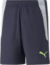TEAMLIGA TRAINING SHORTS 2 JR, PUMA BLACK-OCEA, 152