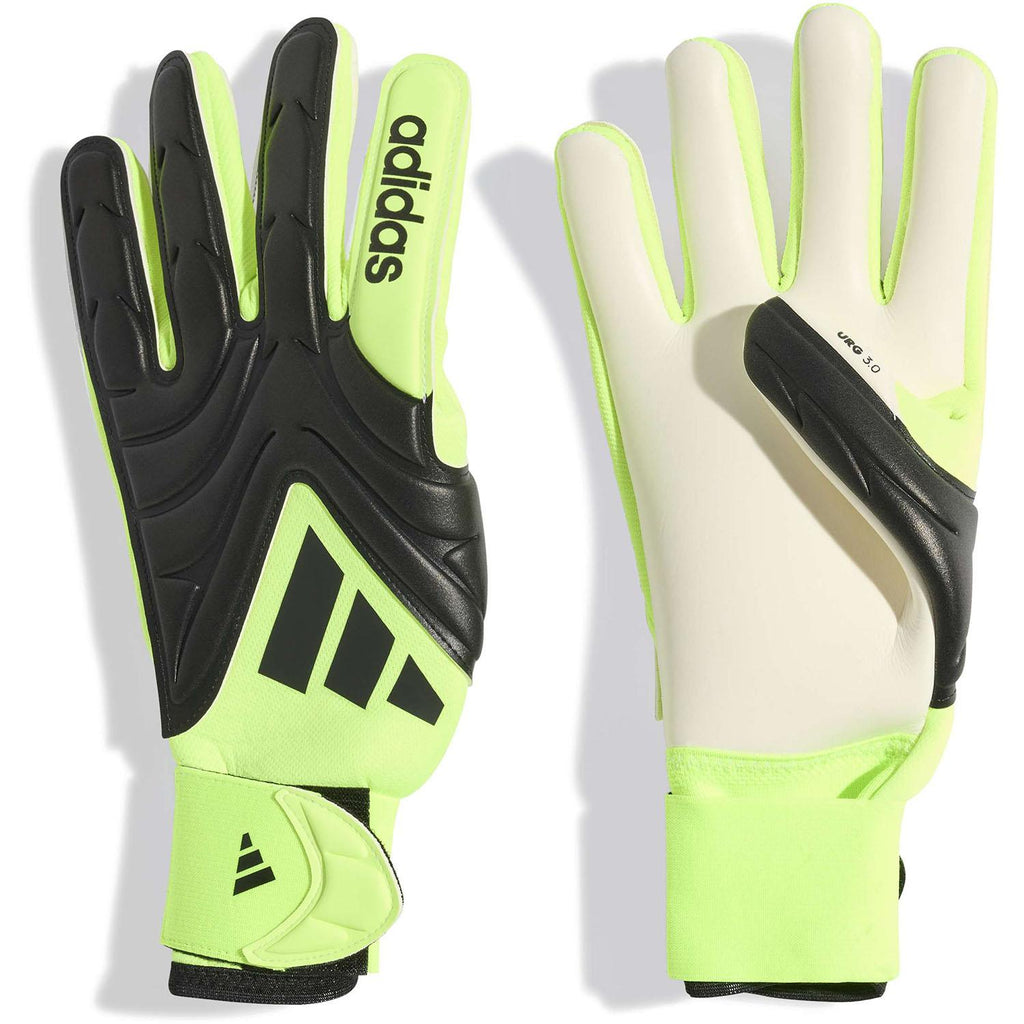 copa gl lge