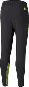 bvb training pants
