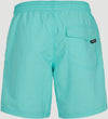 Vert zwemshort