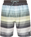 Icon Beachshort