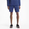 Evostripe Shorts
