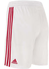 ajax h sho