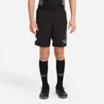 Dri-FIT Academy kids short