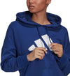 Sportswear Future Icons hoodie