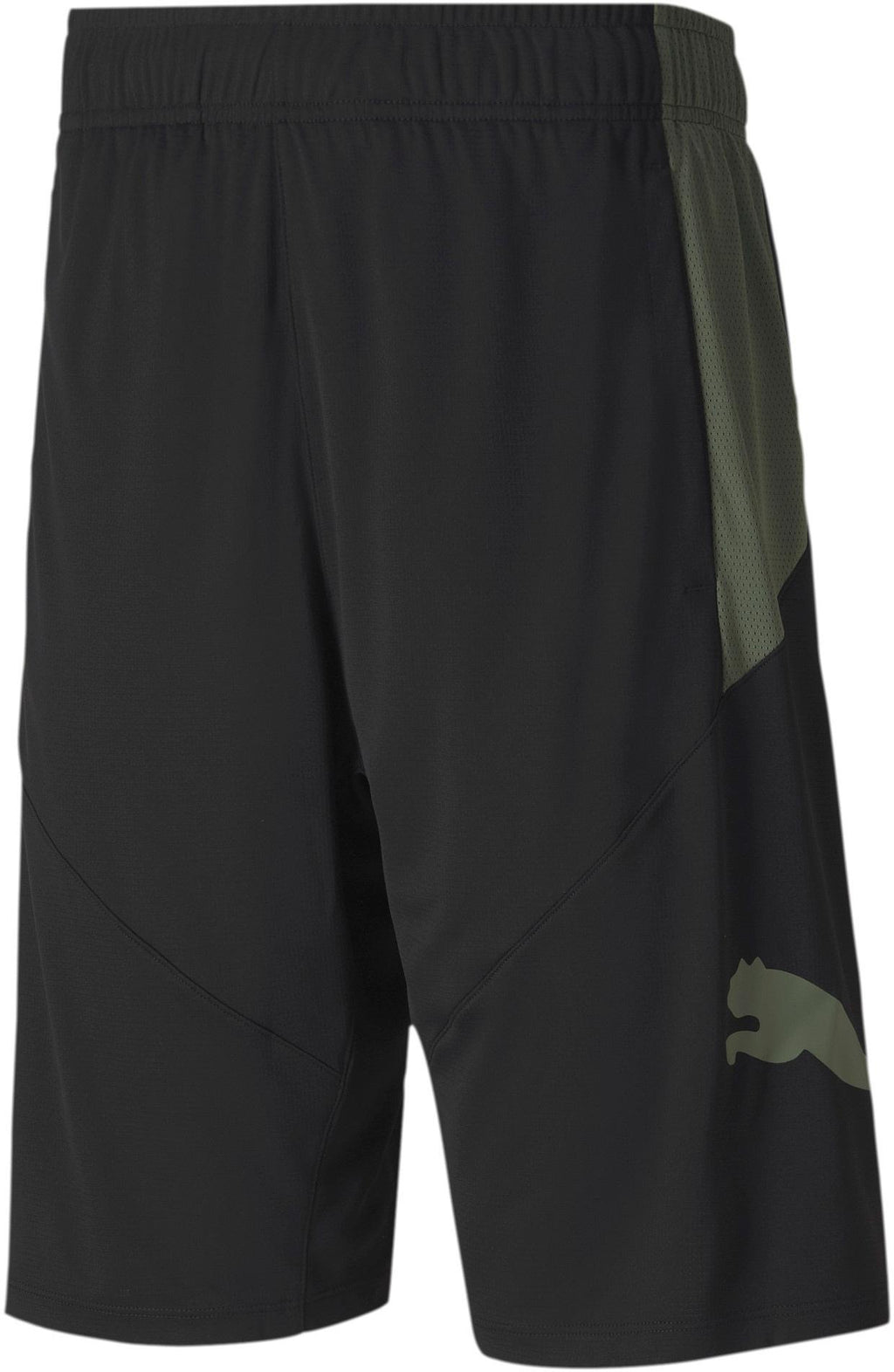puma cat short