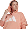 Sportswear Future Icons hoodie (Grote Maat)