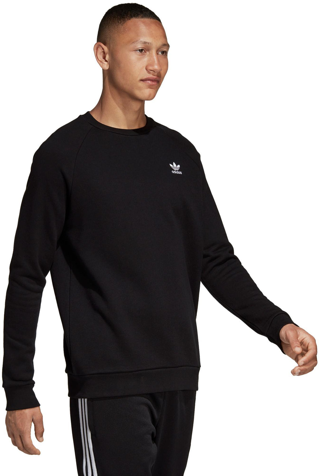 Trefoil Essentials Sweatshirt